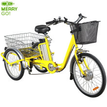 Cheap Steel Frame 36V 250W Tricycle Bikes for Ladies